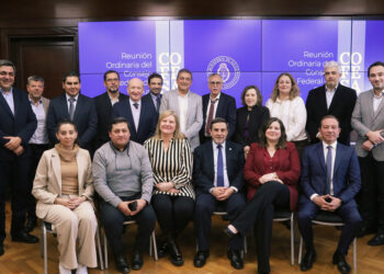 Entre Ríos participó en una nueva reunión del Consejo Federal de Salud