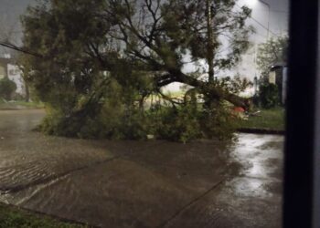 LA TORMENTA SE HIZO SENTIR EN CHAJARÍ Y LA ZONA