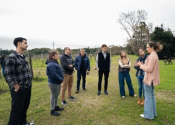 El enoturismo entrerriano se integra al trazado nacional de experiencias del vino