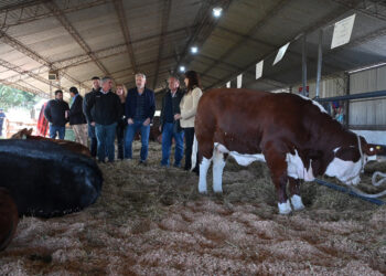 Frigerio anunció créditos para productores y mejoras viales en la 80° Exposición Rural de Feliciano