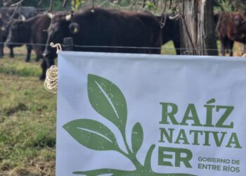 Entre Ríos certifica producción ganadera sostenible en reservas naturales