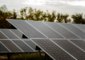 Enersa impulsa la energía limpia con sus primeros parques solares en Entre Ríos