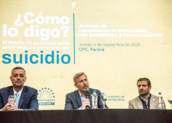 «La salud mental es una prioridad para nuestra gestión», afirmó Frigerio