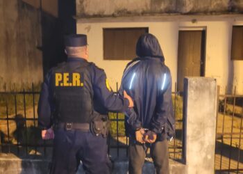 DETENIDO POR TENTATIVA DE ROBO Y VIOLACIÓN DE DOMICILIO EN LA ZONA DE ANDRADE AL 200