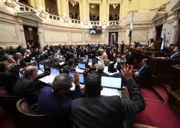 La oposición en el Senado se prepara para rechazar el veto a la Emergencia en Discapacidad