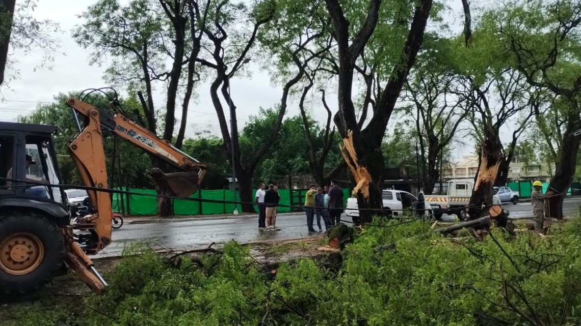 LA MUNICIPALIDAD INTERVIENE ANTE LA CAÍDA DE ÁRBOLES, RAMAS Y POSTES POR LA TORMENTA Y ASISTE A FAMILIAS AFECTADAS