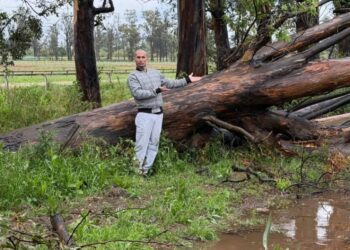 Ternura entre el caos: Emmanuel Noir rescató una comadreja tras el temporal