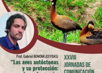IMPERDIBLE CHARLA SOBRE LA PROTECCIÓN DE LAS AVES AUTÓCTONAS