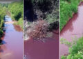 Denuncia penal por contaminación en la cuenca del río Paraná