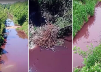 Denuncia penal por contaminación en la cuenca del río Paraná