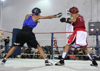 NUEVO FESTIVAL DE BOXEO AMATEUR