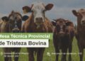 La provincia y entidades de productores impulsan un programa para combatir la tristeza bovina