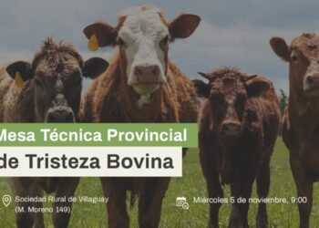 La provincia y entidades de productores impulsan un programa para combatir la tristeza bovina