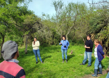 Promueven prácticas de conservación y manejo sustentable del bosque nativo