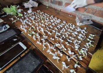 Allanamientos por amenazas: Secuestro de Estupefacientes y una mujer Detenida