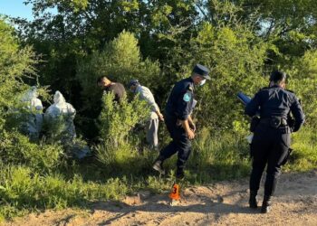 Investigación del Caso de Desaparición de Martín Palacios