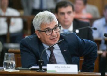 Dal Molin: “Por fin la Legislatura va a poder saber en qué se gastaron miles de millones”