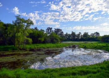 Entre Ríos regulariza una nueva área natural protegida en Villaguay