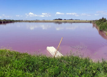 Desde el Gobierno provincial intensifican el monitoreo ante coloración inusual en Arroyo Espinillo