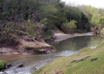 Se realizará en Galarza una jornada sobre Patrimonio Natural Entrerriano enfocada al Turismo de Naturaleza
