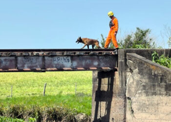 Operativo de Rastrillaje Vinculado a Homicidio