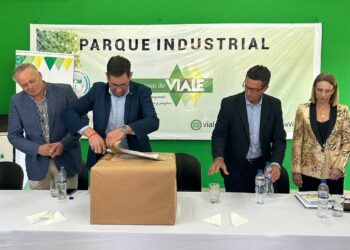 Se abrieron los sobres para la construcción de la estación transformadora eléctrica digital en Viale