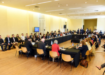 Entre Ríos participó de la 50° sesión del Consejo Federal de Niñez, Adolescencia y Familia