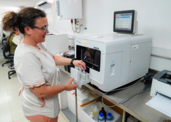 El Servicio de Hematología del hospital San Martín recibe un promedio de mil consultas por mes