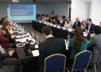 Entre Ríos presente en un encuentro federal sobre el futuro del trabajo