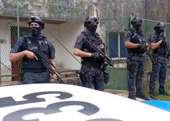 54 allanamientos por venta ilegal de armas