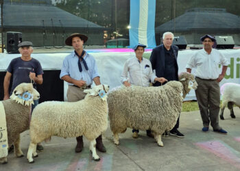 La mayor muestra ovina de la región se realizó en Urdinarrain con acompañamiento del gobierno provincial
