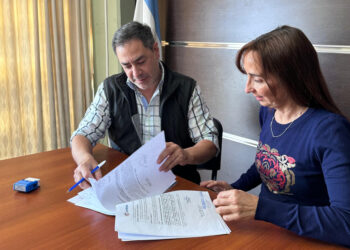 Trabajan en la mejora integral del Camping Las Palmeras