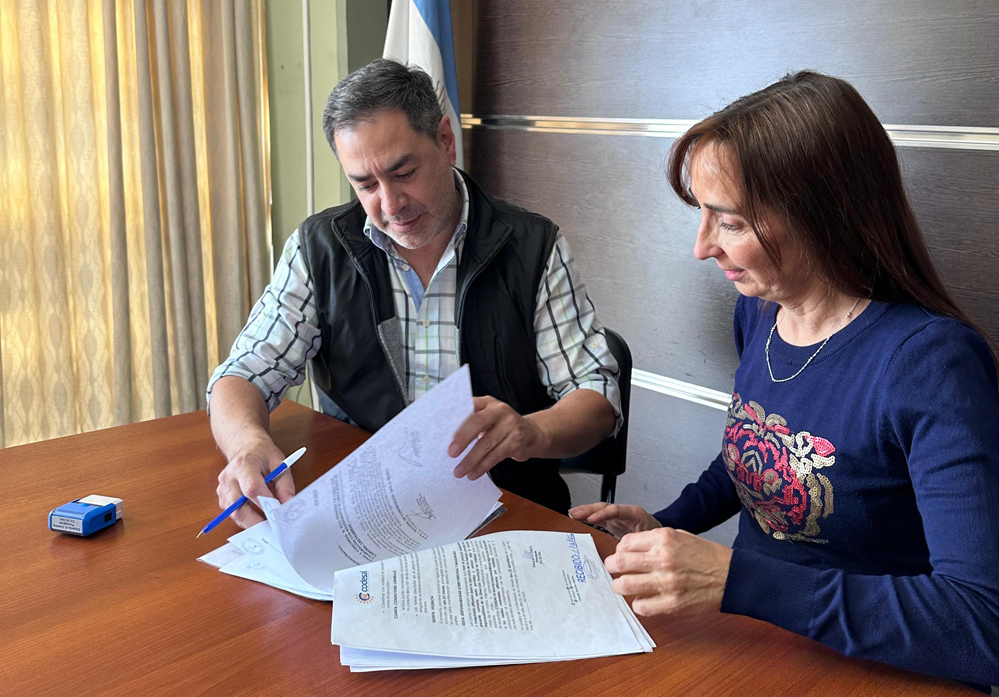 Trabajan en la mejora integral del Camping Las Palmeras