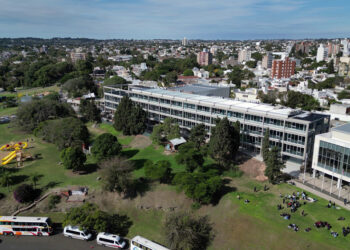 MiradorTEC obtuvo dos premios nacionales por innovación y desarrollo tecnológico