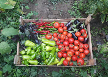 La provincia impulsa sus sistemas productivos ecológicos desde las comunas