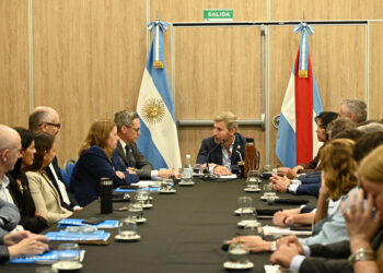 Entre Ríos y Unicef presentaron las líneas estratégicas de acción para la primera infancia