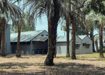 Finalizaron los trabajos de puesta en valor del camping Las Palmeras, en Salto Grande