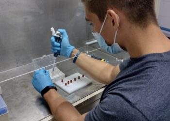 Se conocieron los resultados del primer relevamiento de capacidades del Sistema Científico Tecnológico en Entre Ríos