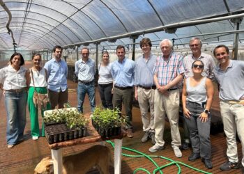 Consolidan la integración del Estado y los productores para impulsar al sector forestal