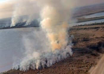 Es total la prohibición de quemas en Entre Ríos durante la temporada estival