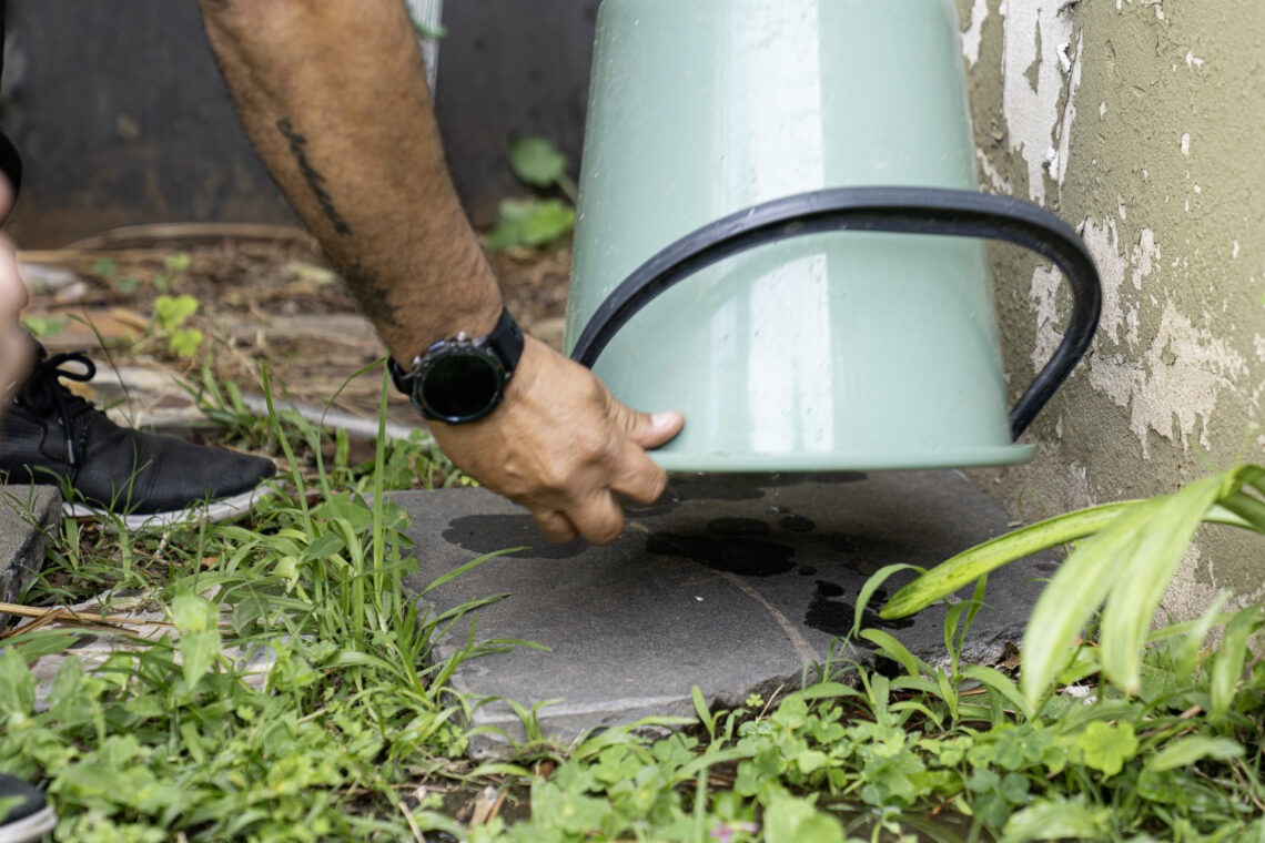 Salud recuerda la importancia de sostener el descacharrizado para prevenir el dengue