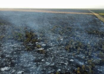 LA JUSTICIA INTIMÓ AL ÁREA DE BOSQUES NATIVOS A RESTAURAR UN CAMPO TALADO EN VILLAGUAY