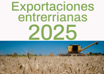 Las ventas de Entre Ríos al mundo crecieron 47 por ciento en el último año y casi 100 por ciento desde 2023