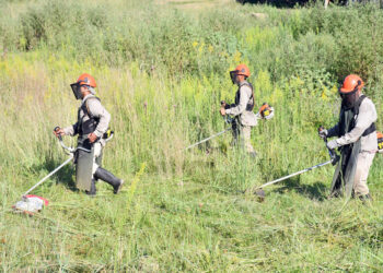 CON LA INTERVENCIÓN DE DIVERSAS ÁREAS, LA MUNICIPALIDAD REALIZA UN ABORDAJE INTEGRAL EN EL BARRIO SAN MIGUEL II