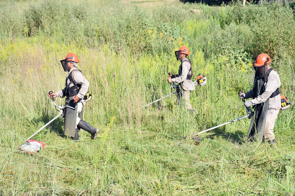 CON LA INTERVENCIÓN DE DIVERSAS ÁREAS, LA MUNICIPALIDAD REALIZA UN ABORDAJE INTEGRAL EN EL BARRIO SAN MIGUEL II