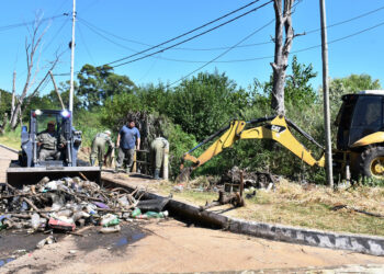 LA MUNICIPALIDAD REALIZA TAREAS DE LIMPIEZA Y SANEAMIENTO DE DESAGÜES PLUVIALES