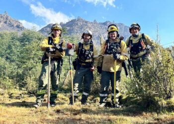 Brigadistas entrerrianos trabajan en tareas de control y combate de los incendios en Chubut