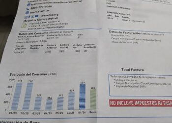 Continúan los trabajos desde la provincia para morigerar la suba nacional en la tarifa eléctrica