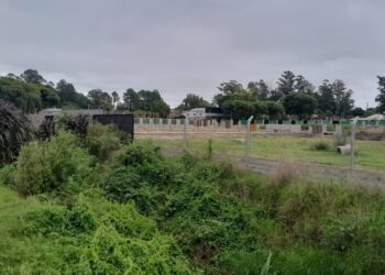 El humedal de la Bianca, una obra cargada de sospechas que el municipio ordenó paralizar los trabajos