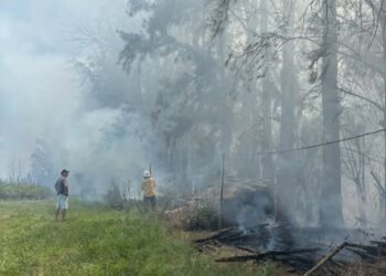 Incendios forestales: doble intervención de los Bomberos Voluntarios de Concordia
